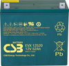 EVX12520