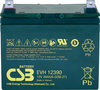 EVH12390